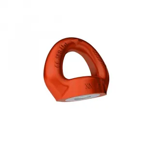 Рым-гайка с поворотной петлей М24 Codipro NS8M24FE.SEB — фото превью